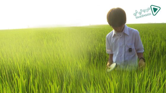 فيلم All About Lily Chou-Chou 2001 مترجم